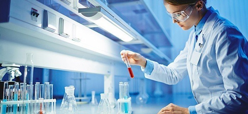 Asian Caprolactam Weekly Commentary / 13-Aug-2026-13Aug2026/941 am EST/1341 GMT / Supply-demand balance supports prices: buyer / FOB Korea benzene rises $49.66/mt on week
